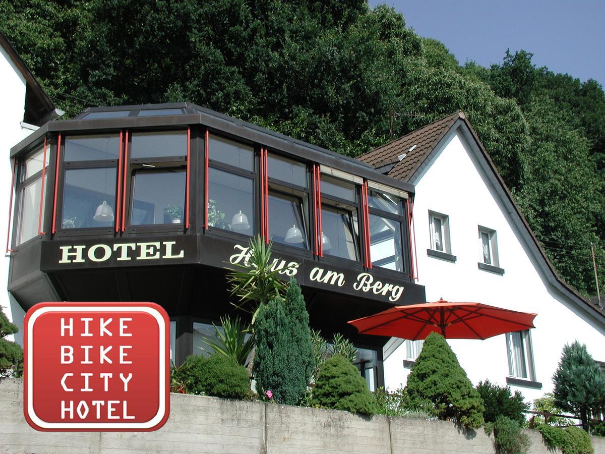 Hotel Haus Am Berg Trewir Zewnętrze zdjęcie