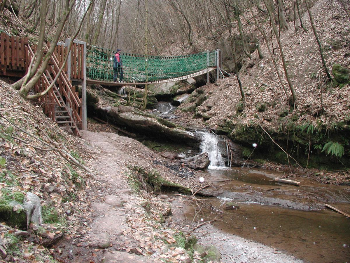 Hotel Haus Am Berg Trewir Zewnętrze zdjęcie